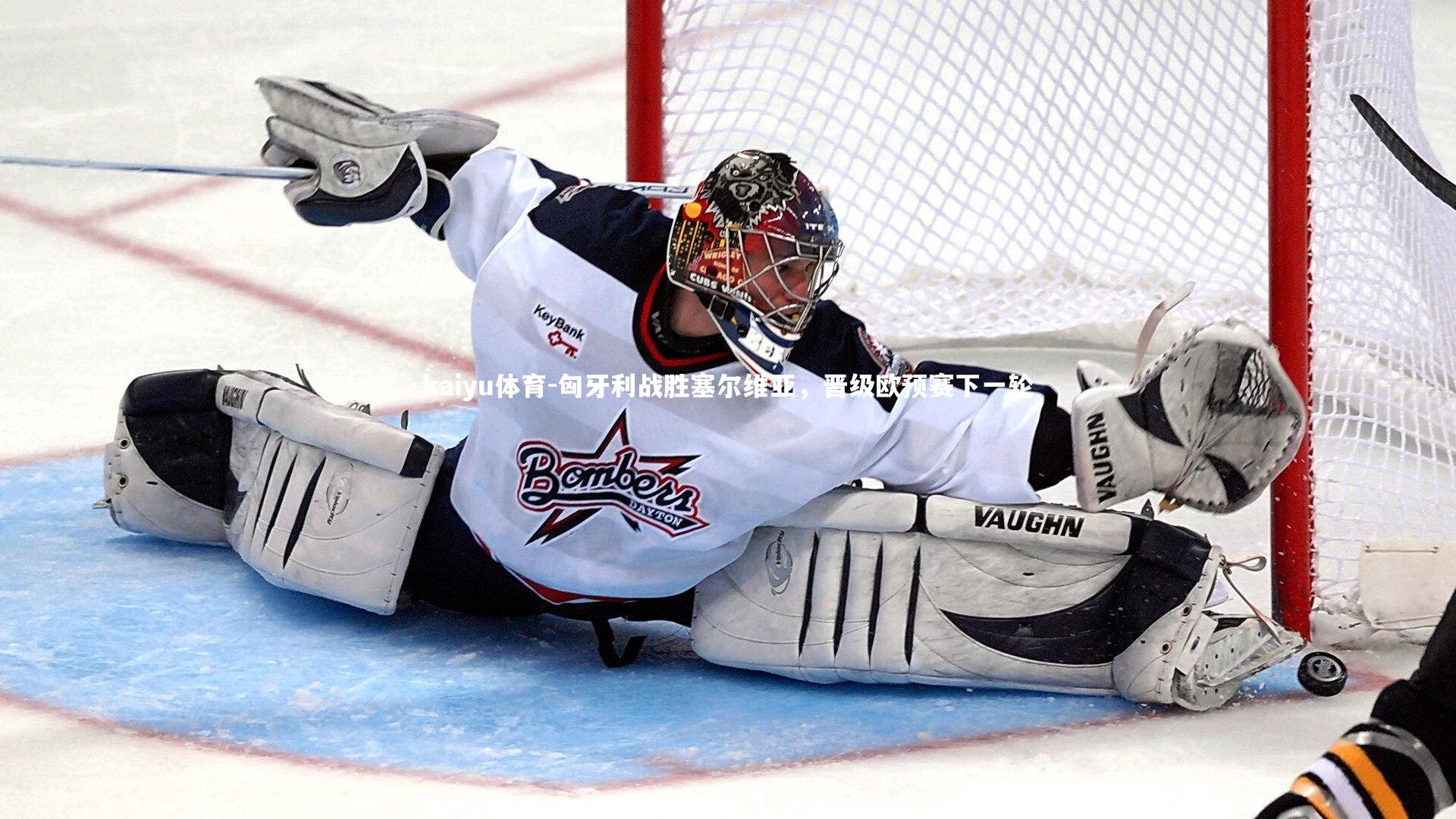 匈牙利战胜塞尔维亚,晋级欧预赛下一轮