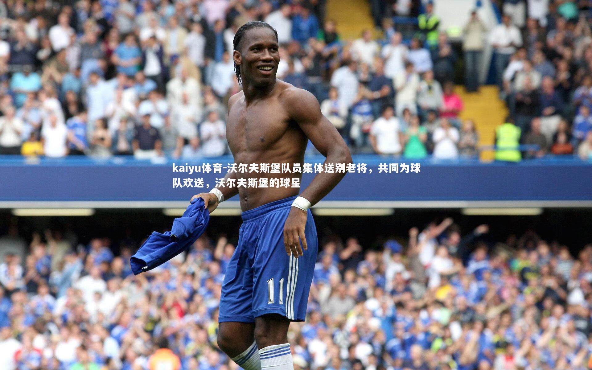 沃尔夫斯堡队员集体送别老将,共同为球队欢送,沃尔夫斯堡的球星