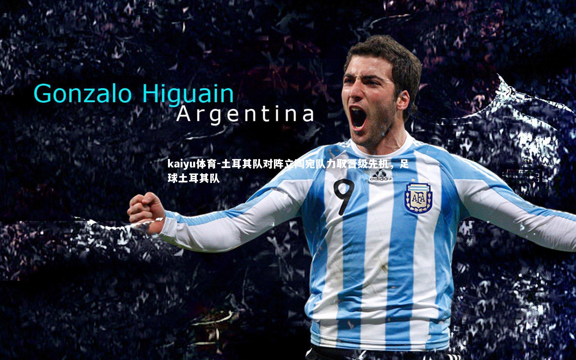 土耳其队对阵立陶宛队力取晋级先机,足球土耳其队