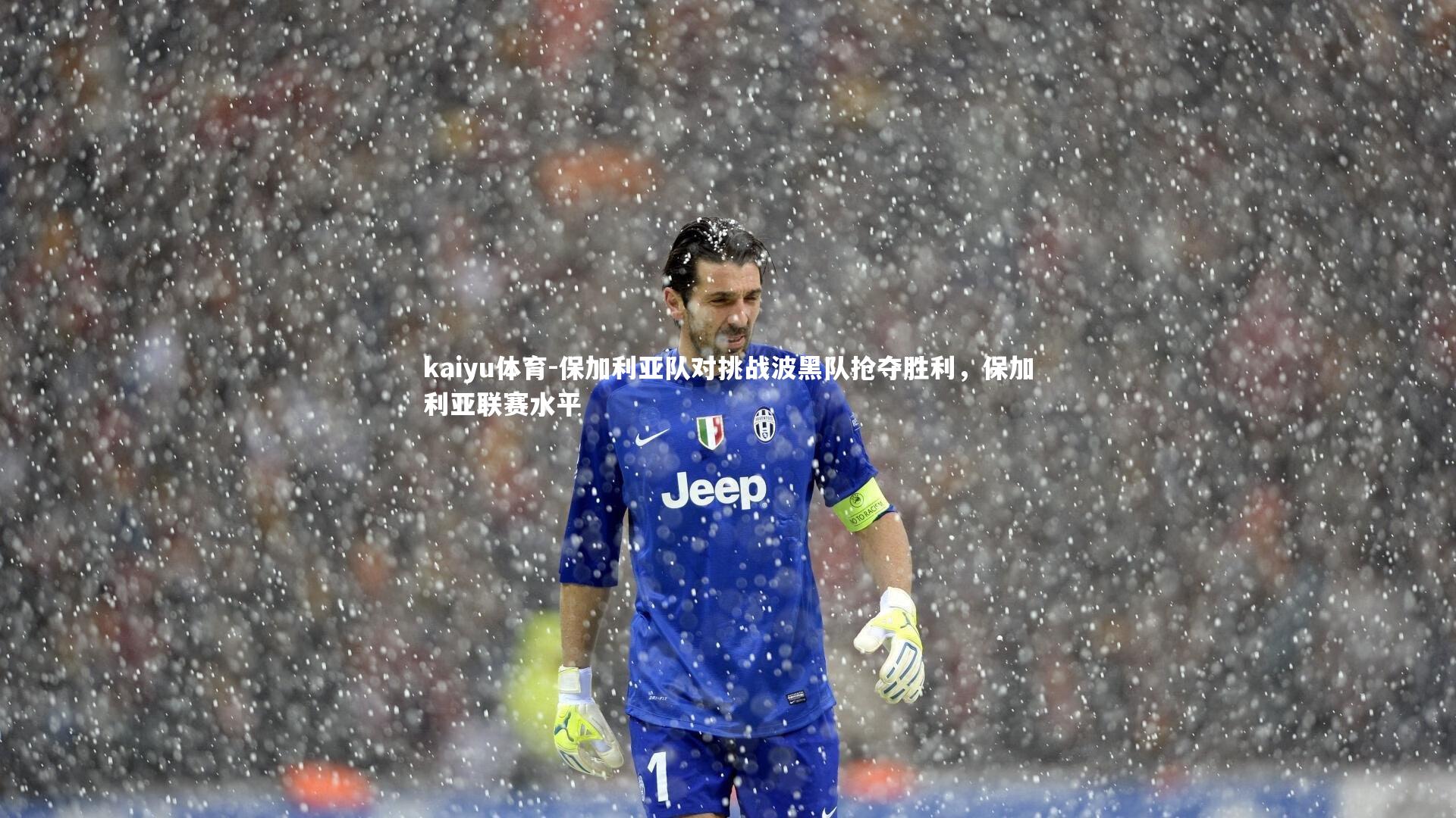 保加利亚队对挑战波黑队抢夺胜利,保加利亚联赛水平