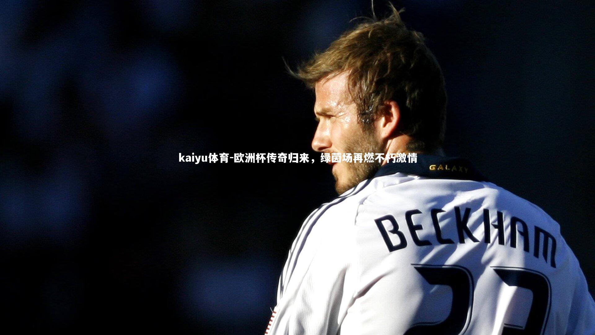 欧洲杯传奇归来，绿茵场再燃不朽激情